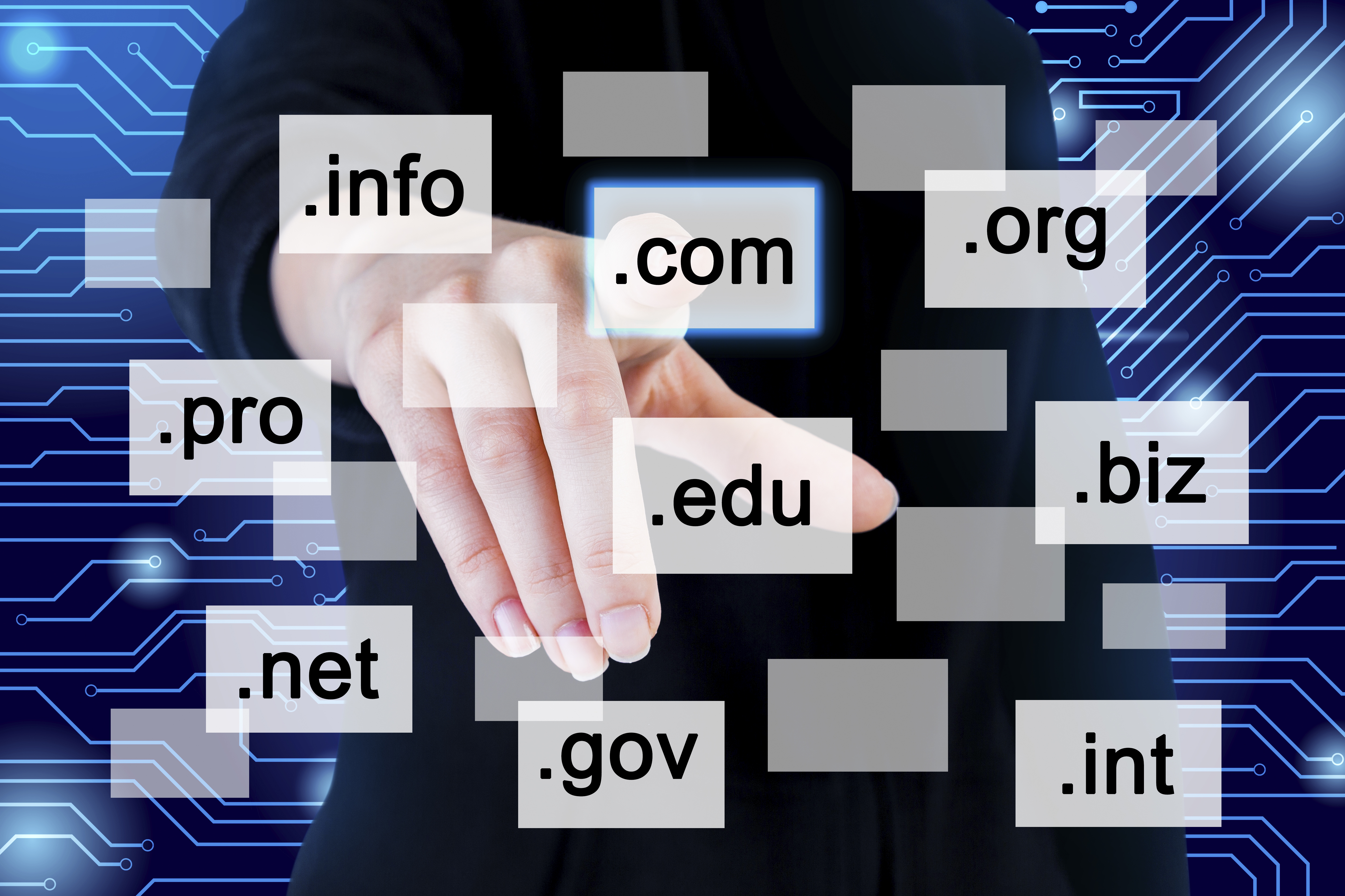 Domain Registration India
